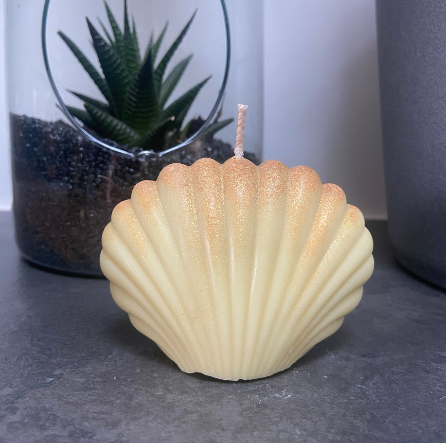 Coquillage modèle jaune