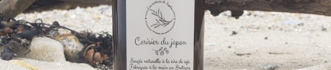 Bougies parfumées ou fondants parfumés : que choisir ?