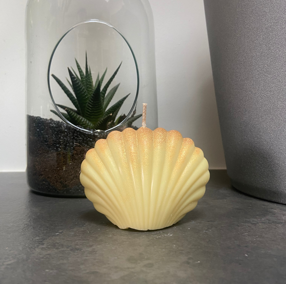 Bougie moulée modèle coquillage