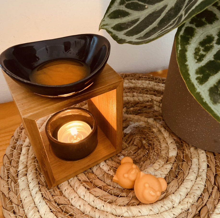 Diffuseurs fondants en bambou et céramique